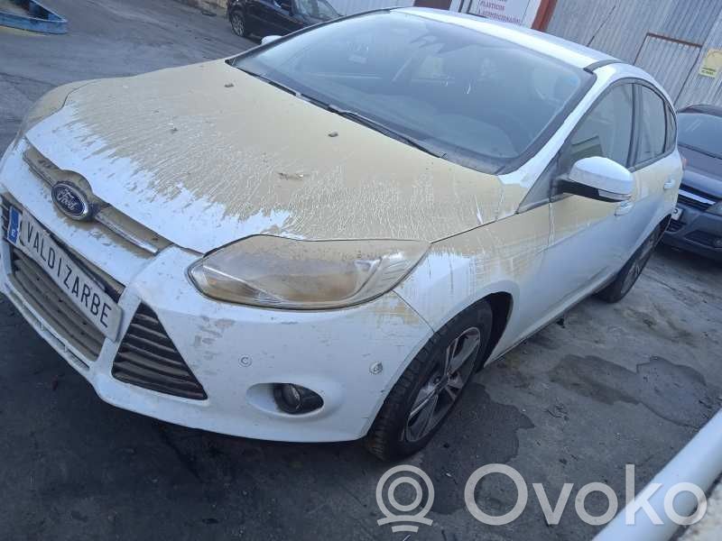 Focus Focus  2173539