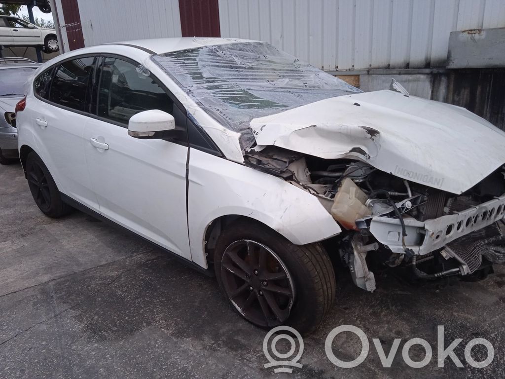 Focus Focus  1779711