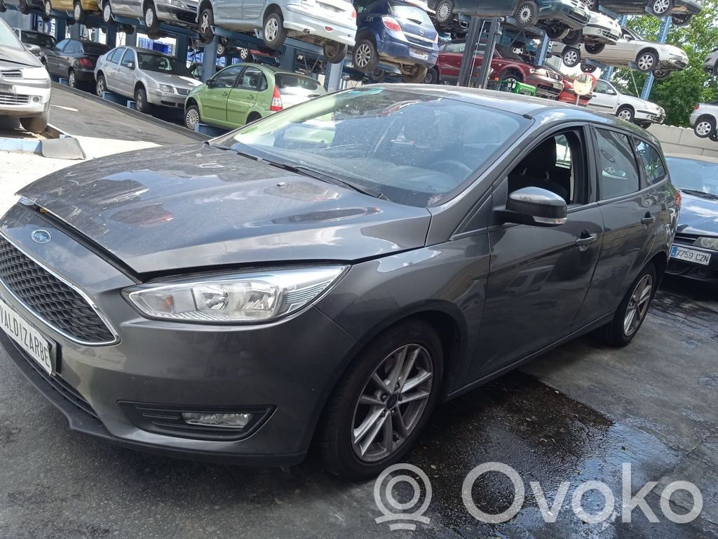 Focus Focus  CV618005VC