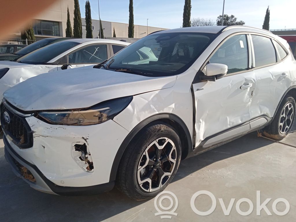 Kuga III Kuga  2474559