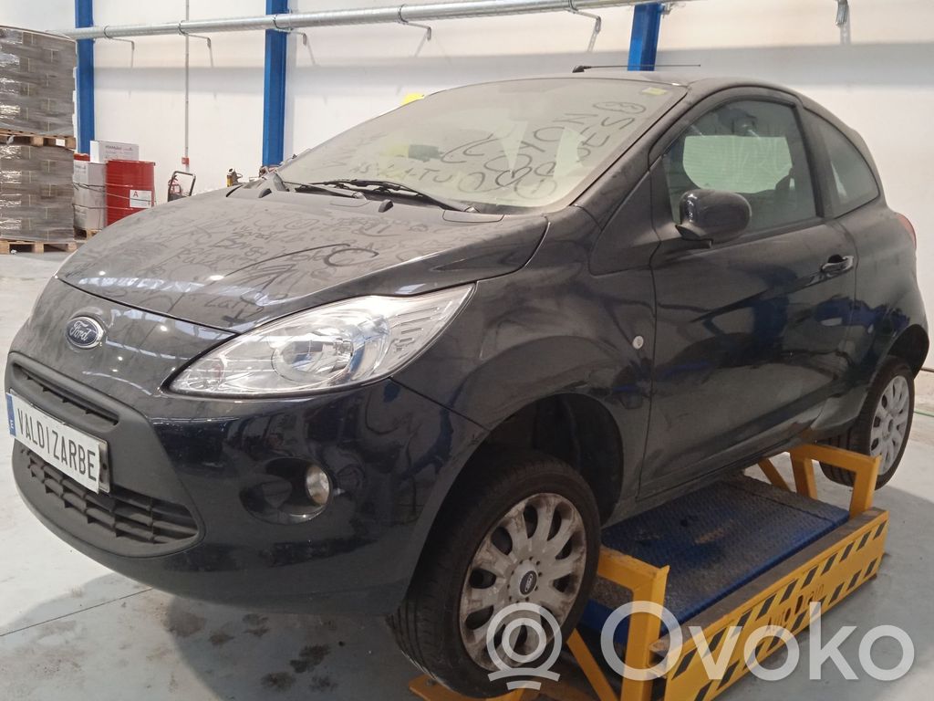 Ka Ka  51784845