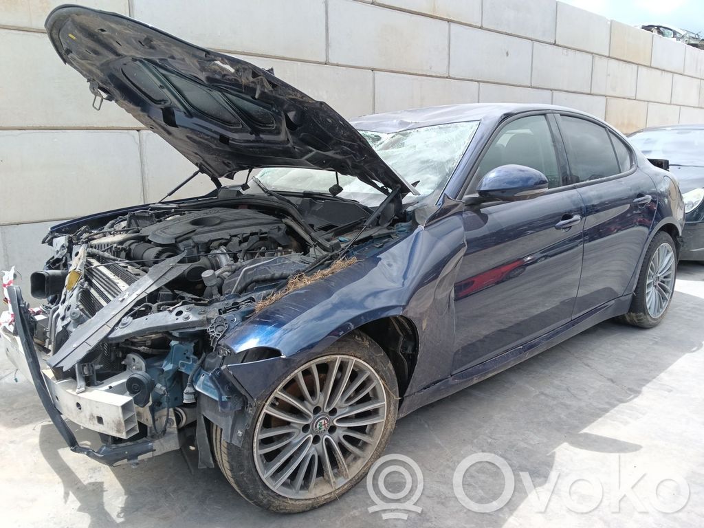 Giulia Giulia  50549818
