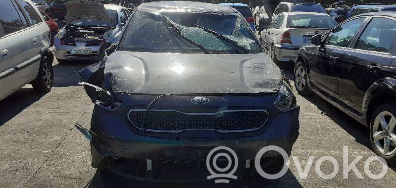 Niro Niro  21810G2000
