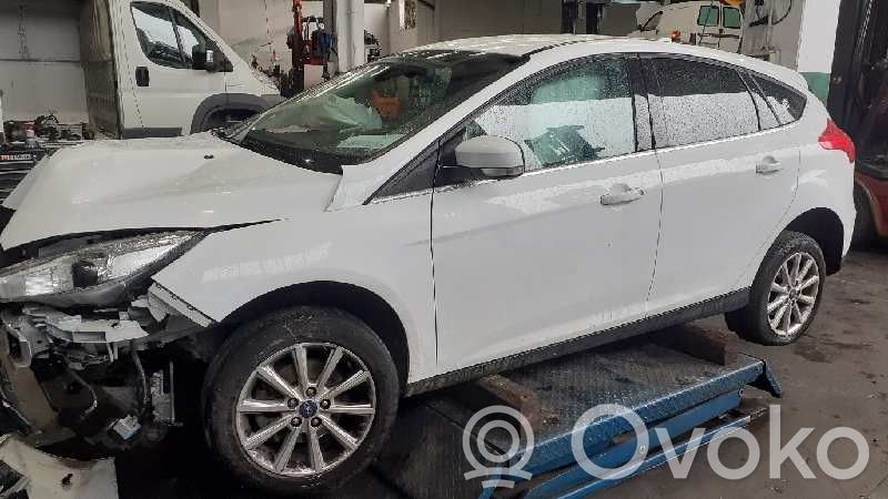Focus Focus  1883869