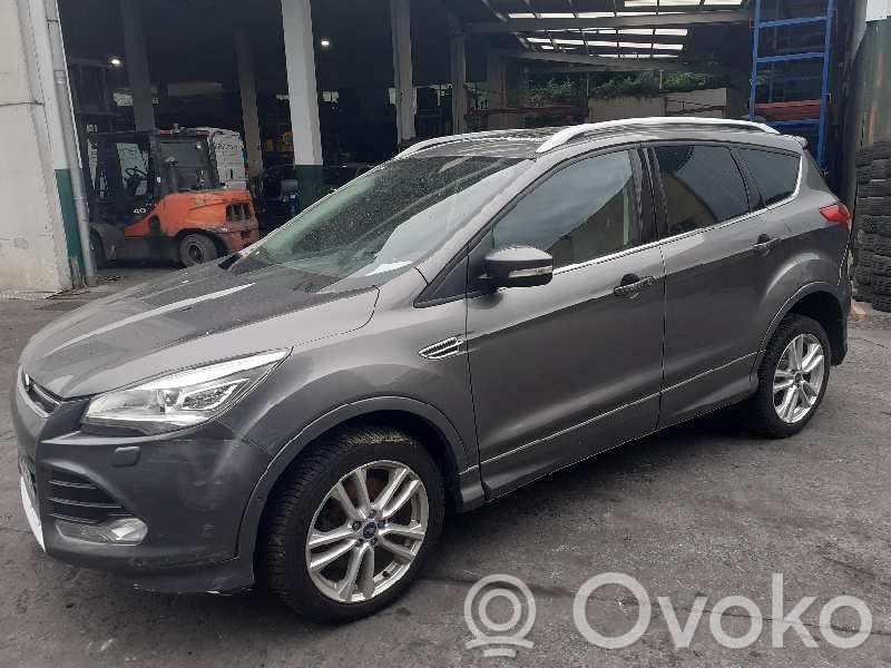 Kuga II Kuga  2013474