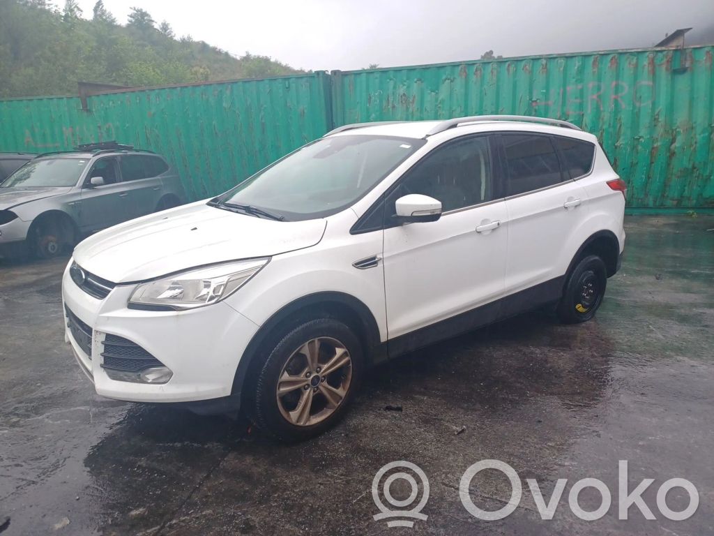 Kuga II Kuga