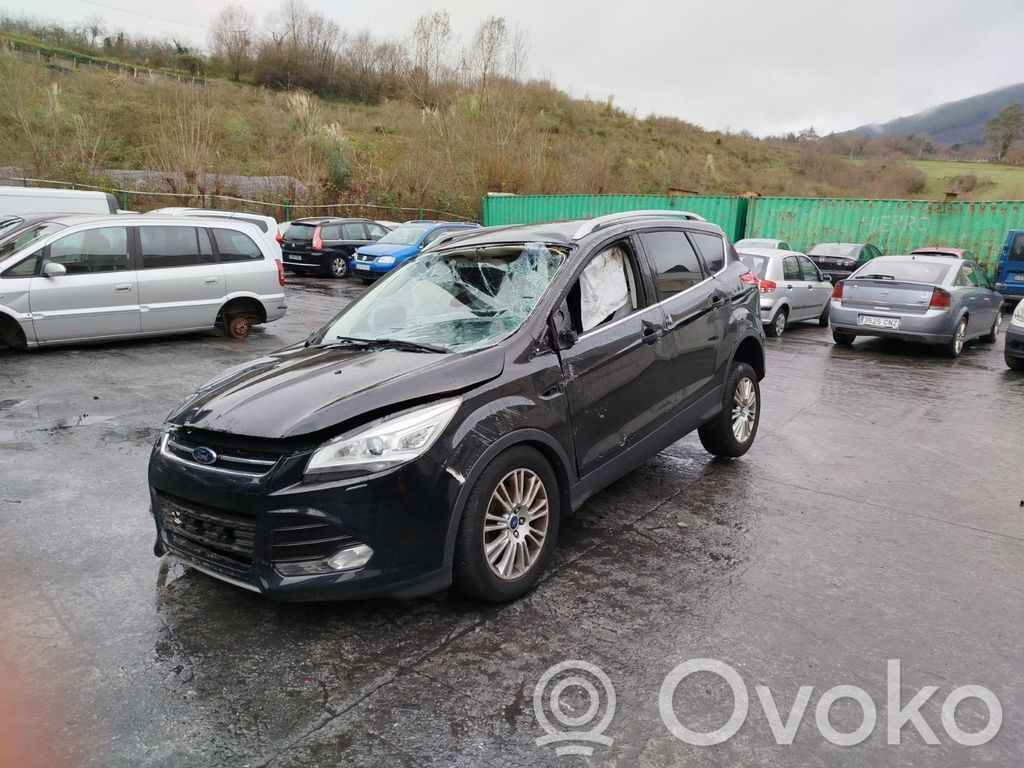 Kuga II Kuga