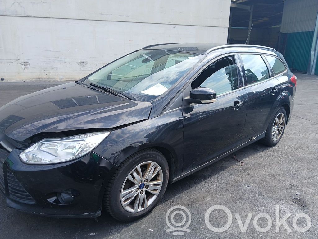 Focus Focus  BV618005BB