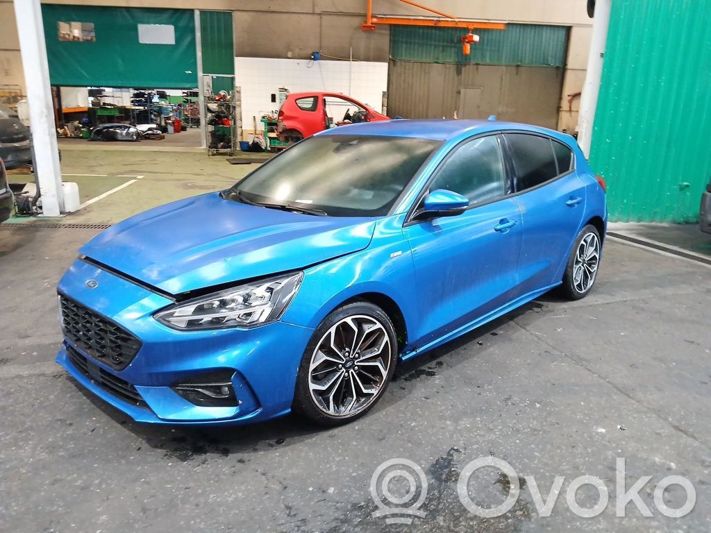 Focus Focus  2621784