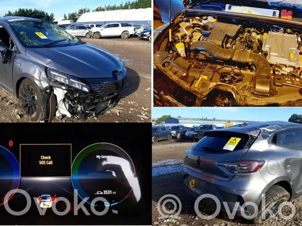 Clio V Clio  226934PM0A