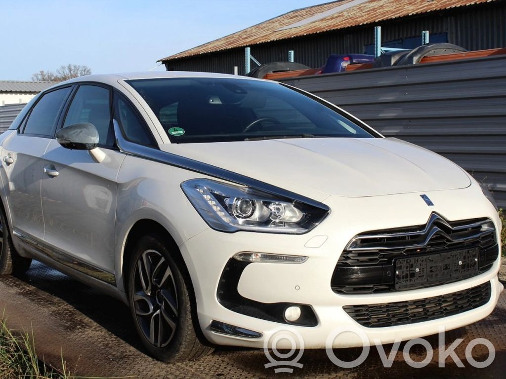 DS5 DS5