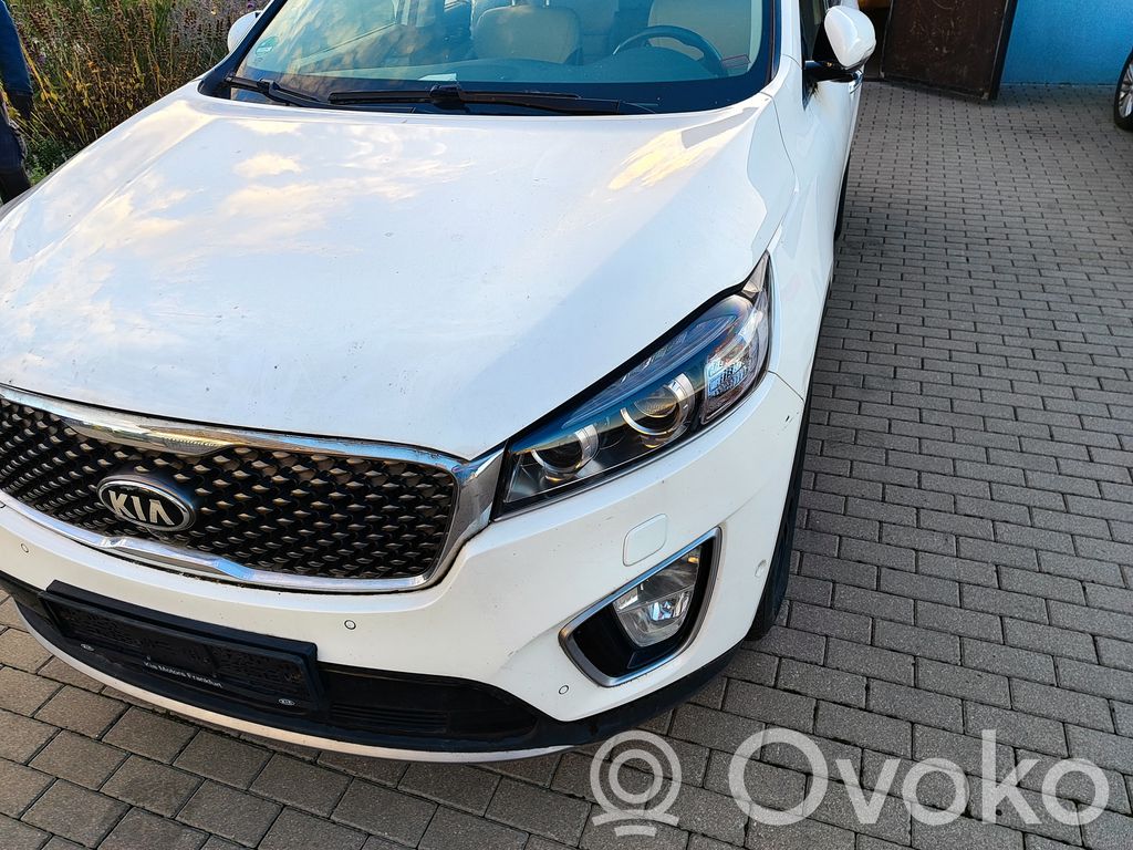 Sorento Sorento  82470C5070