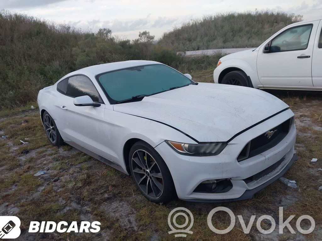 Mustang VI Mustang  FR3C6B032AD