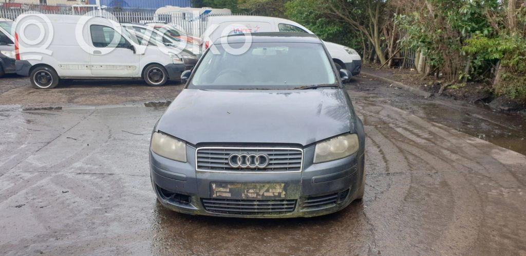 Audi A3 S3 8P