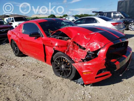 Mustang VI Mustang  E816N