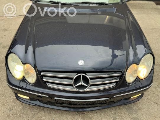 2098200002 Mercedes-Benz CLK A209 C209 Subwoofer speaker