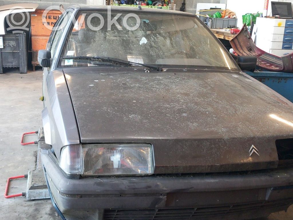 BX BX  95587065