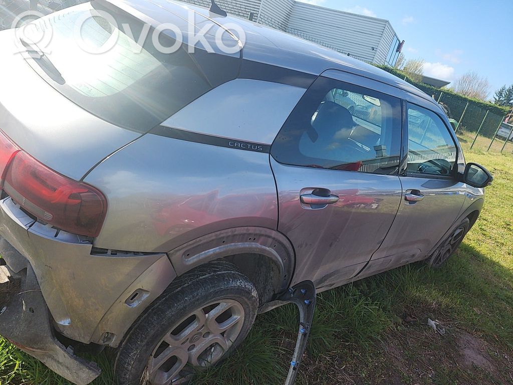 C4 Cactus C4 Picasso, Grand Picasso, Aircross, Cactus  1648639580