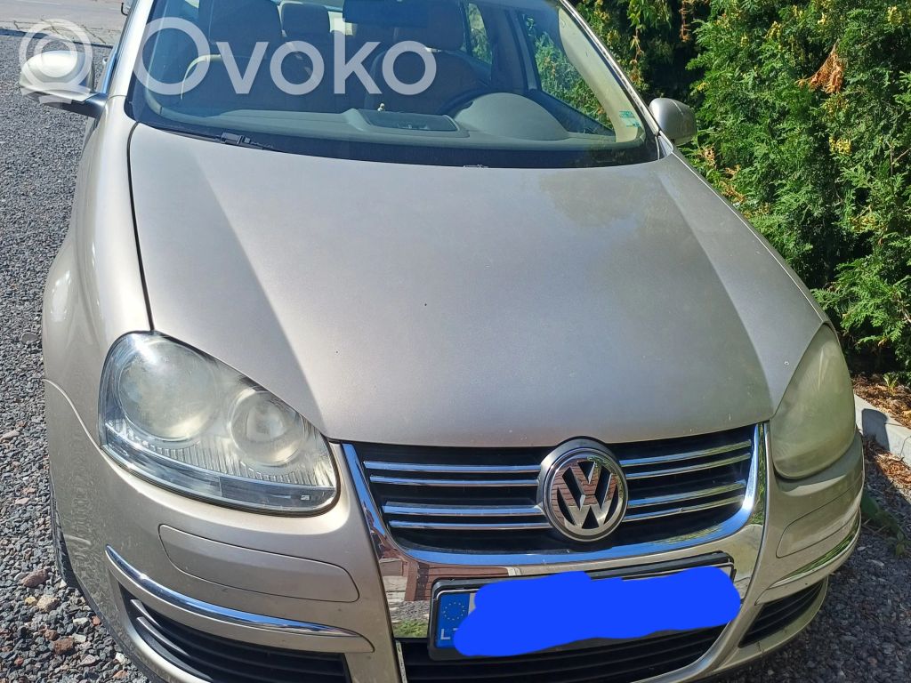 Jetta V Jetta  0258017046