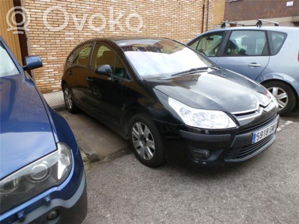 C4 I C4 Picasso, Grand Picasso, Aircross, Cactus  96624939ZD