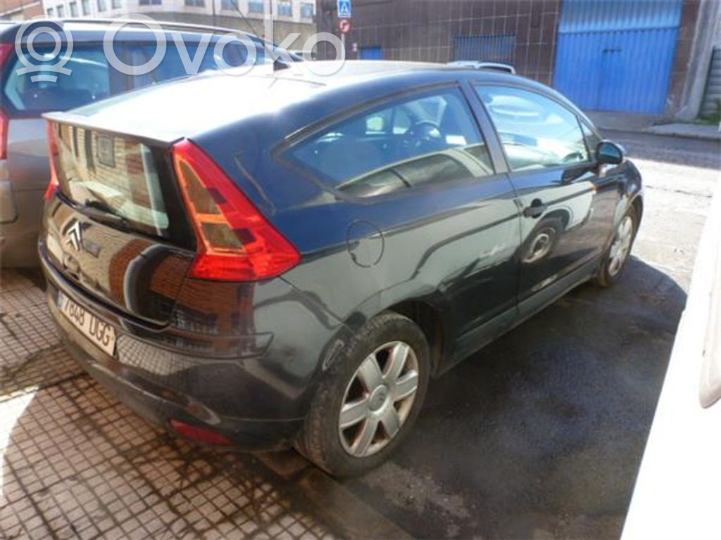C4 I C4 Picasso, Grand Picasso, Aircross, Cactus  NECESITAPINTAR