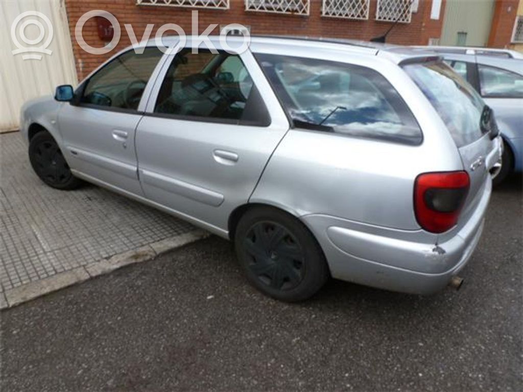 Xsara Xsara, Xsara Picasso