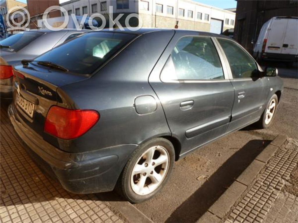 Xsara Xsara, Xsara Picasso