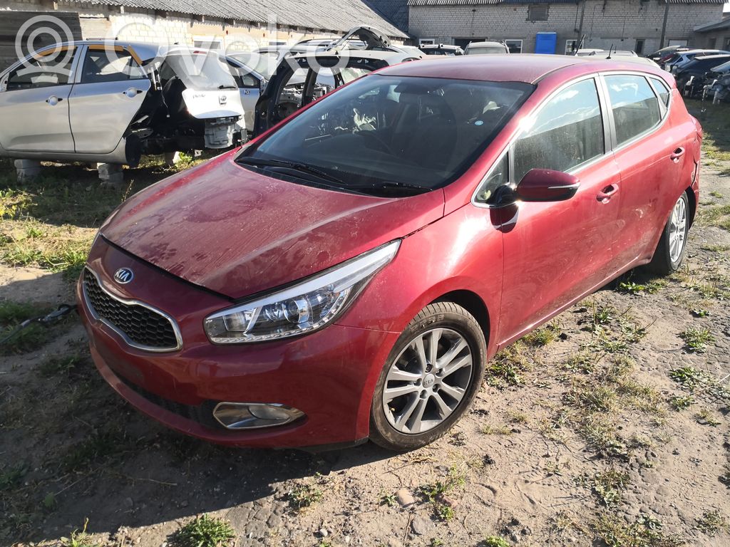 Ceed Ceed, Ceed SW, Pro Ceed  391112A970