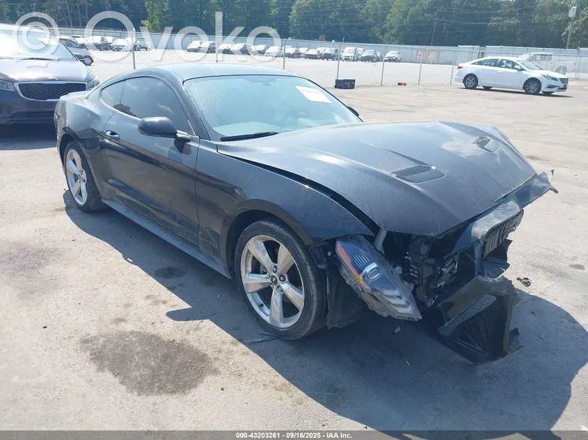 Mustang VI Mustang  FR3B8A058AC