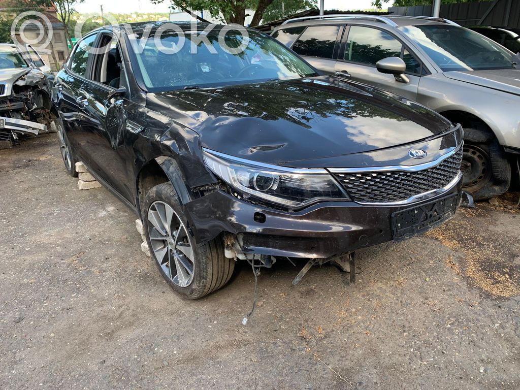 Optima Optima  84656D4002