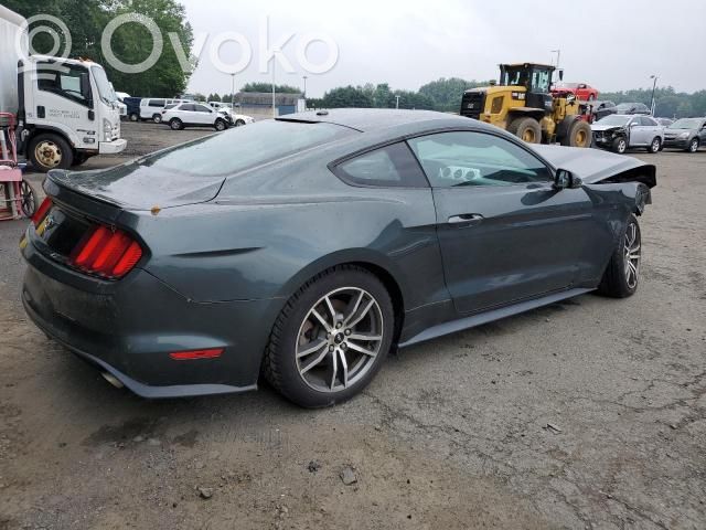 Mustang VI Mustang  FR3C6B032AD