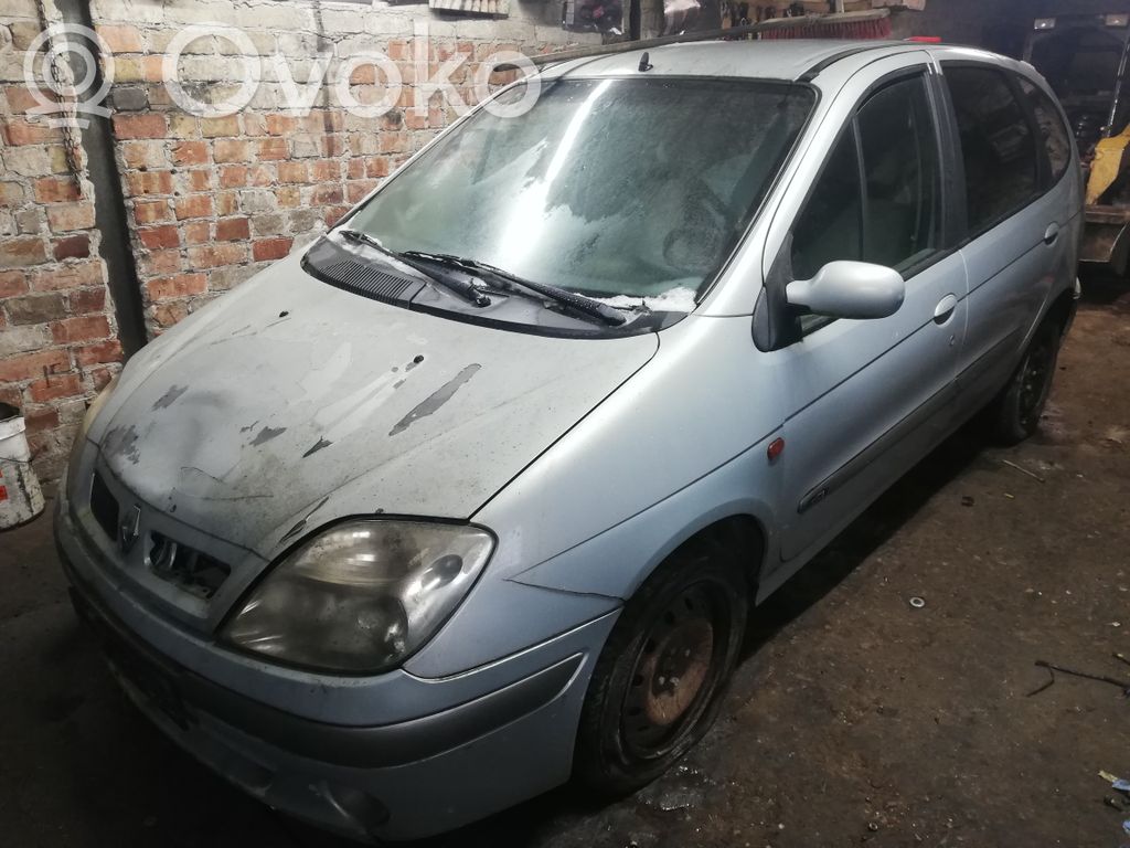 Scenic I Scenic  8200028488