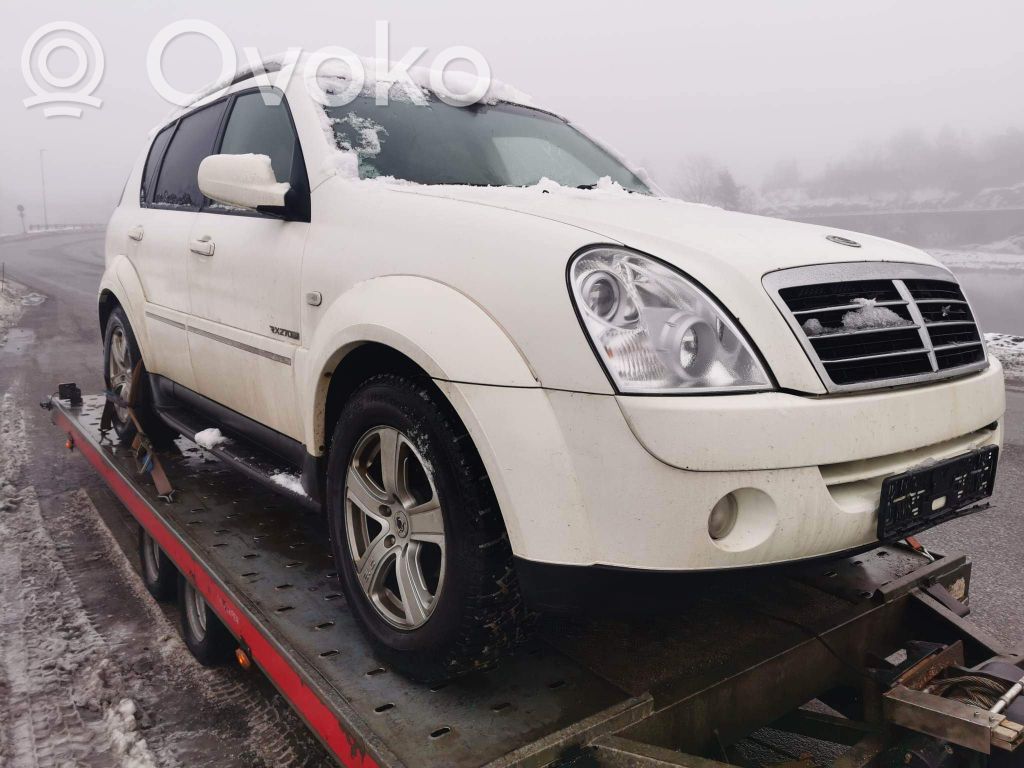 Rexton Rexton  7226610