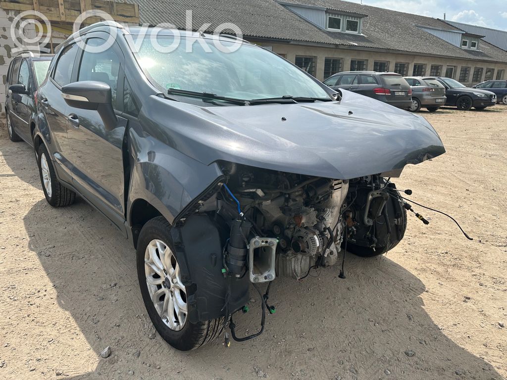 Ecosport Ecosport  MS1042101731
