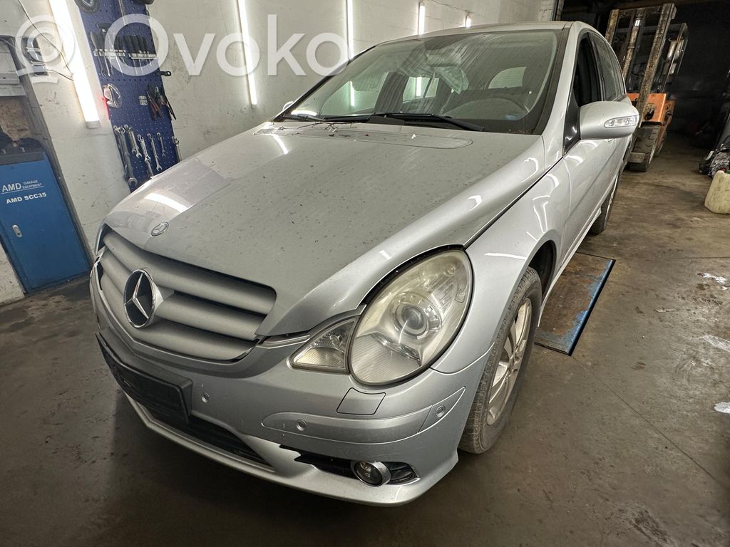 R W251 R-class, AMG (W251)  171006000