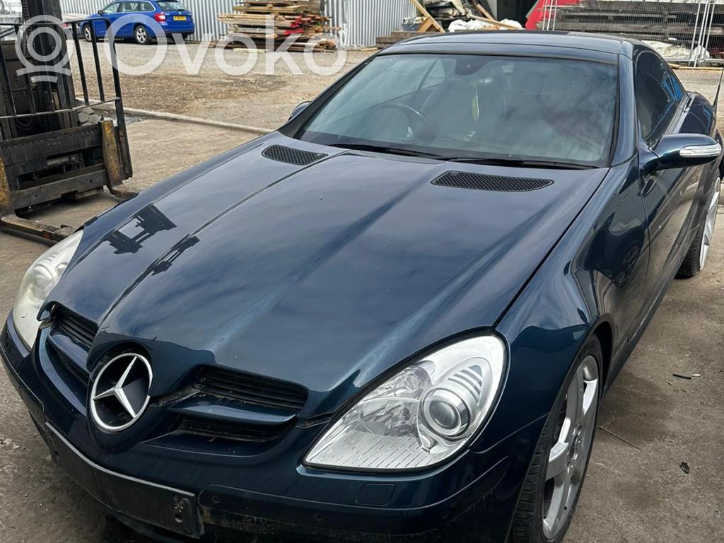 SLK R171 SLK-class, AMG (W170, W171, W172)  A1718000030
