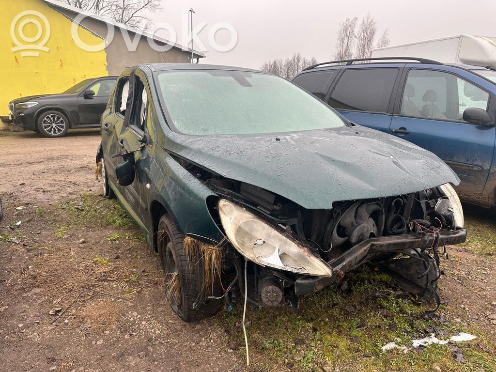 307 307  323075010
