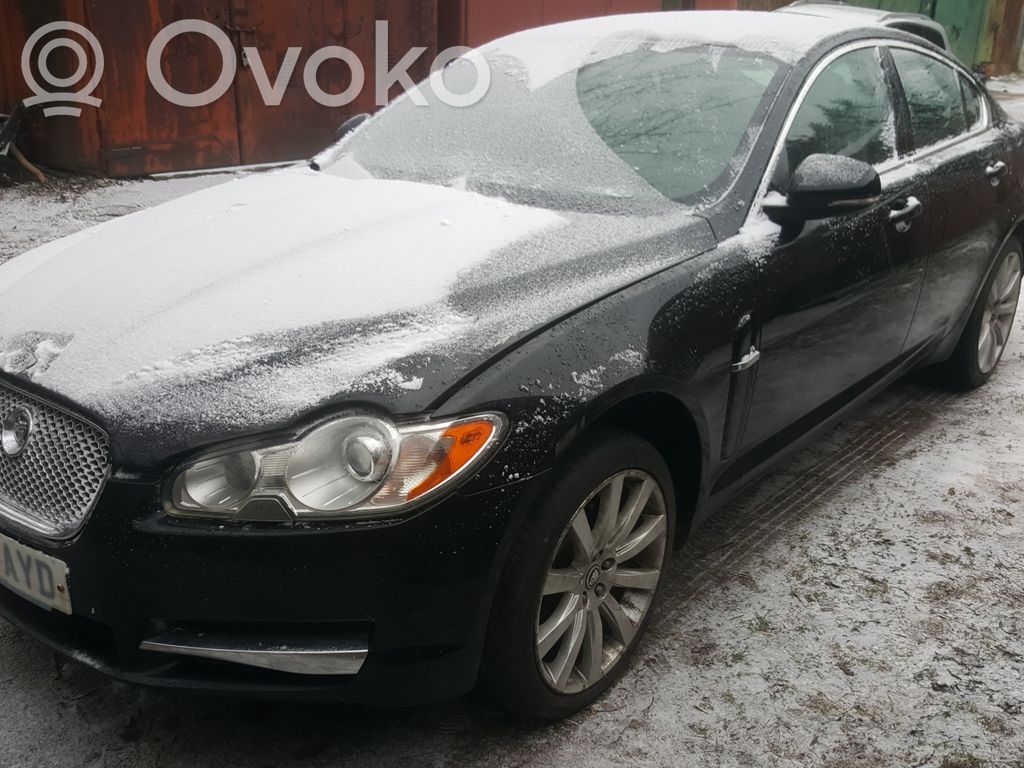 XF XF  0281004125