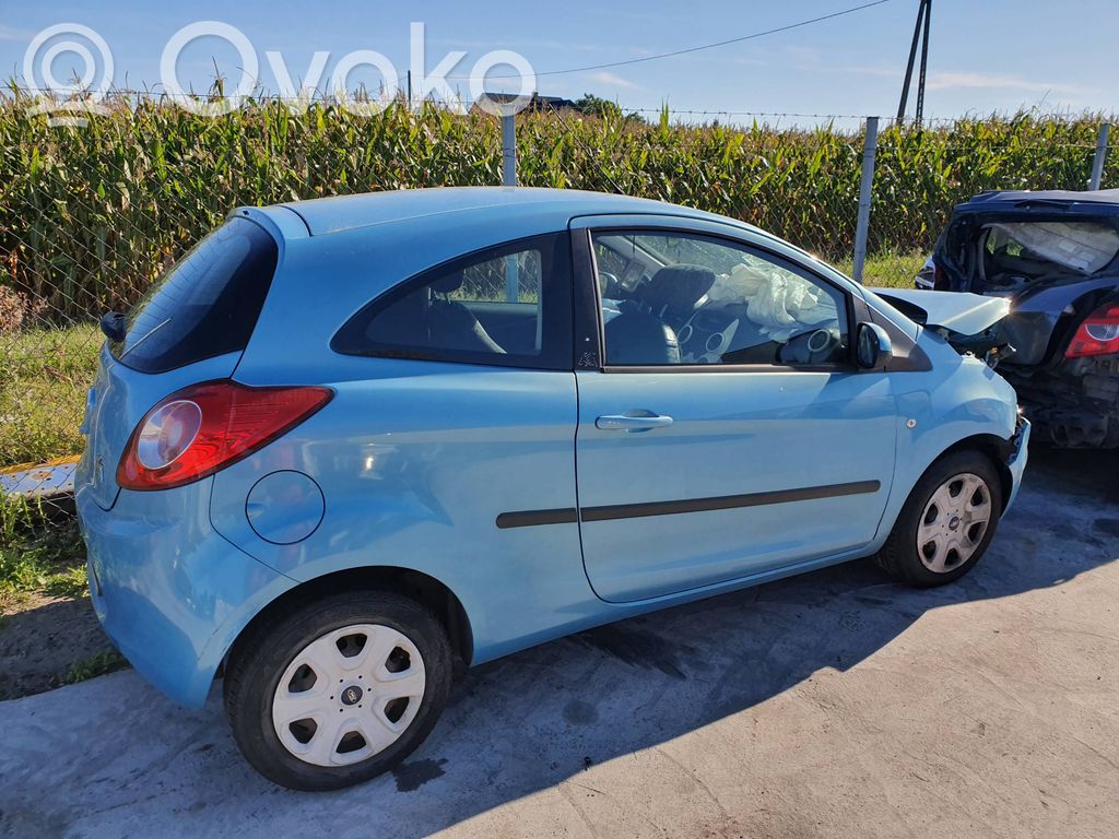 Ka Ka  51892004