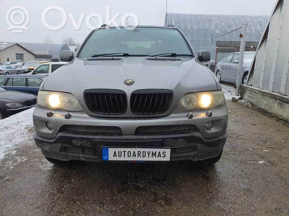 X5 E53 X5  6966696