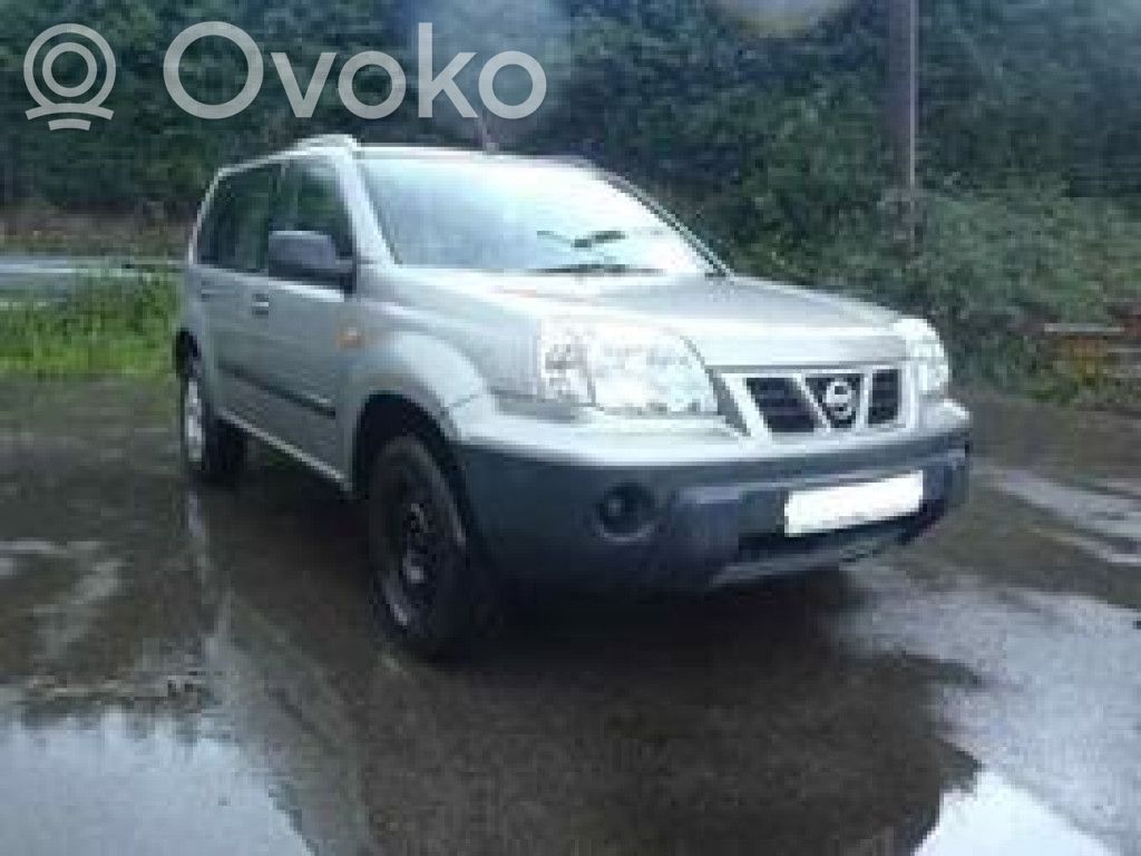 X-Trail T30 X-Trail  0ZA544N7
