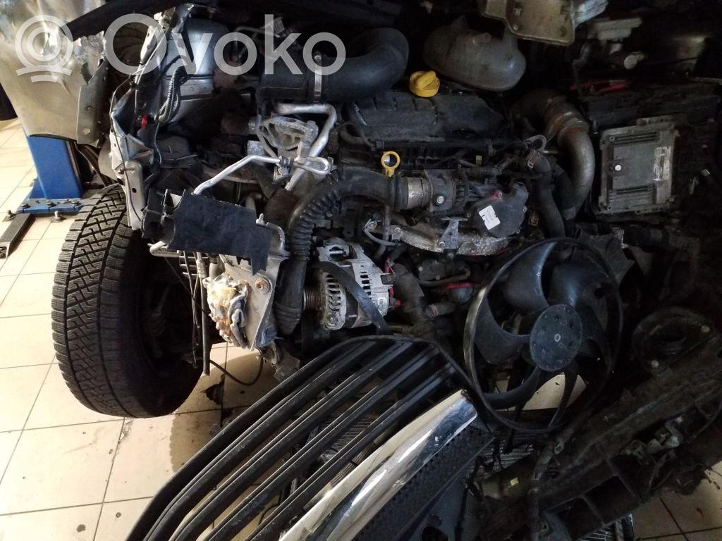Vivaro Vivaro