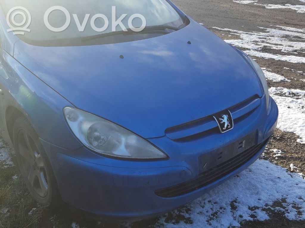 307 307  9637131380