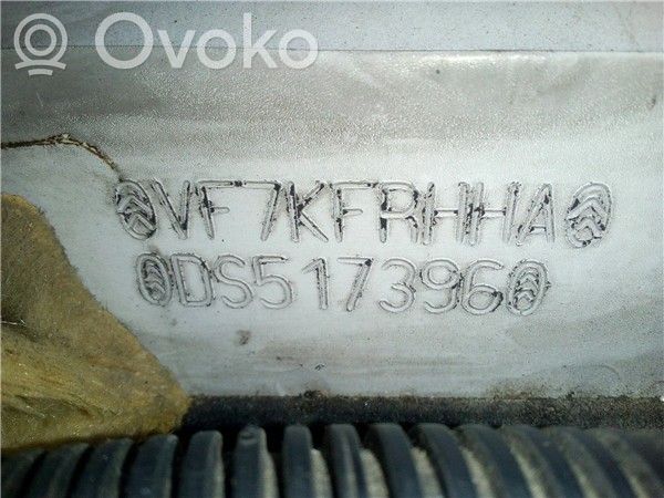 DS5 DS5  384P8