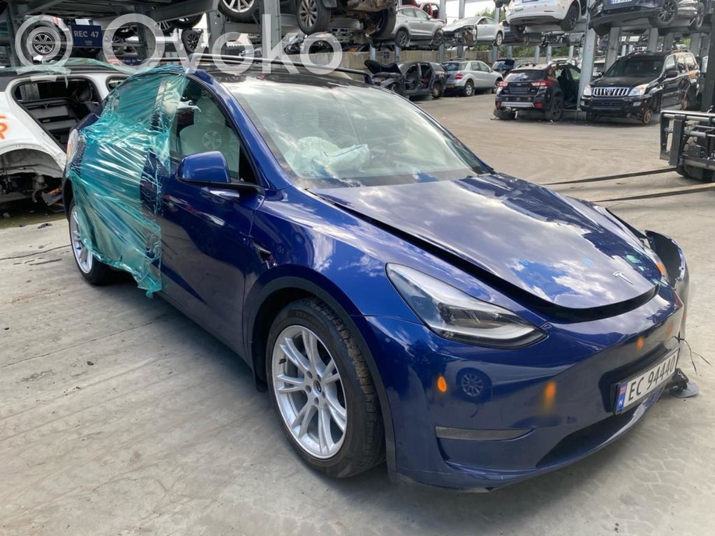 Model Y Tesla Model Y  149784601F