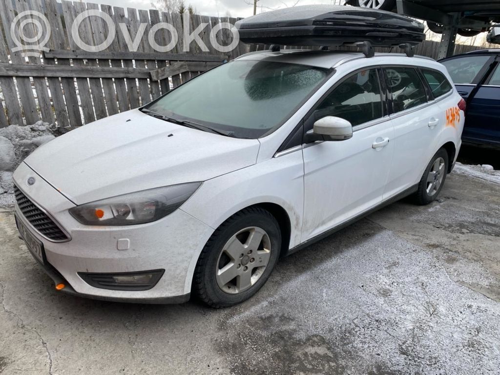 Focus Focus  1924167
