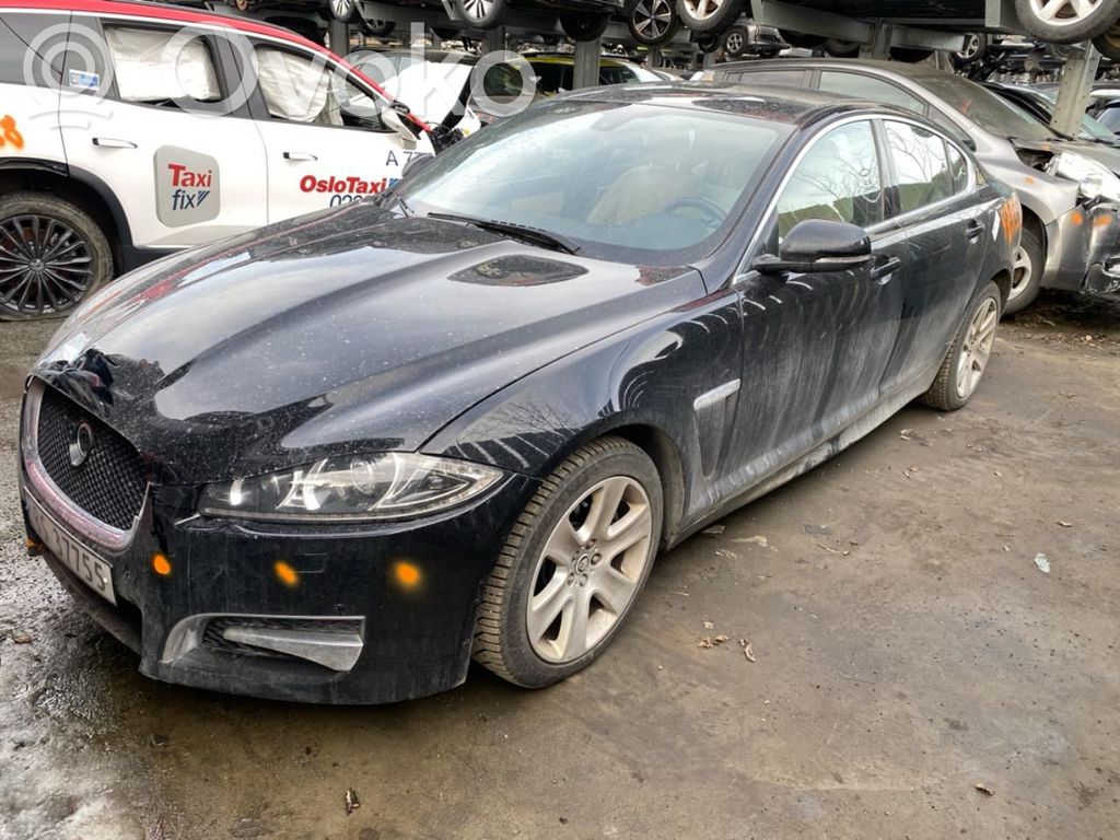 XF X250 XF  C2Z22210