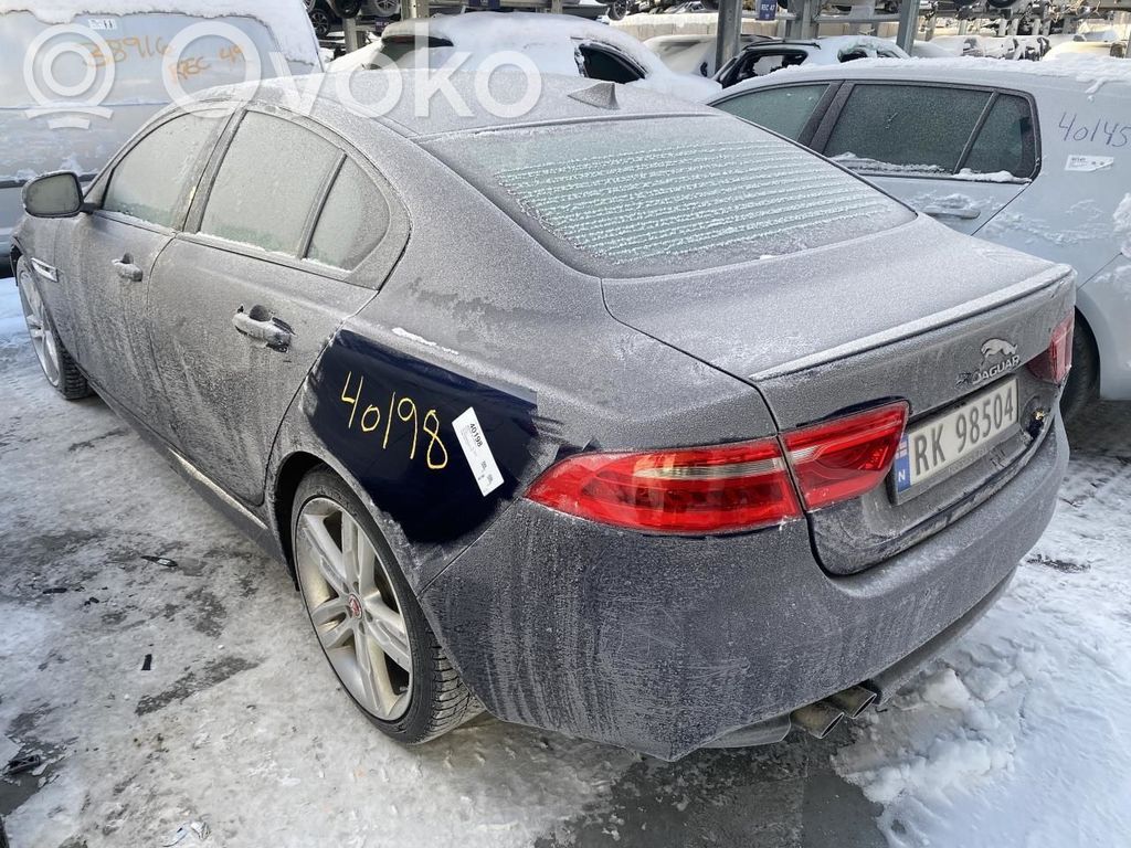 XE XE  T2H3541