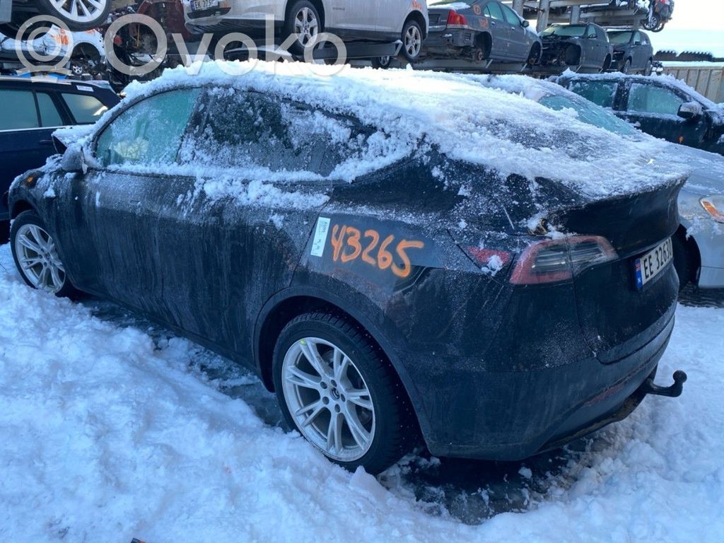 Model Y Tesla Model Y  104474600A