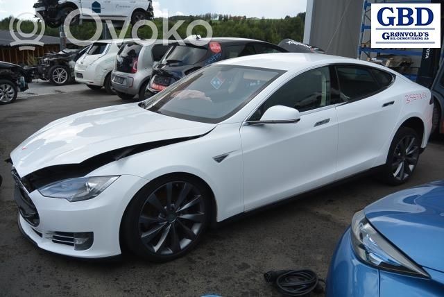 Model S Tesla Model S  600689500A